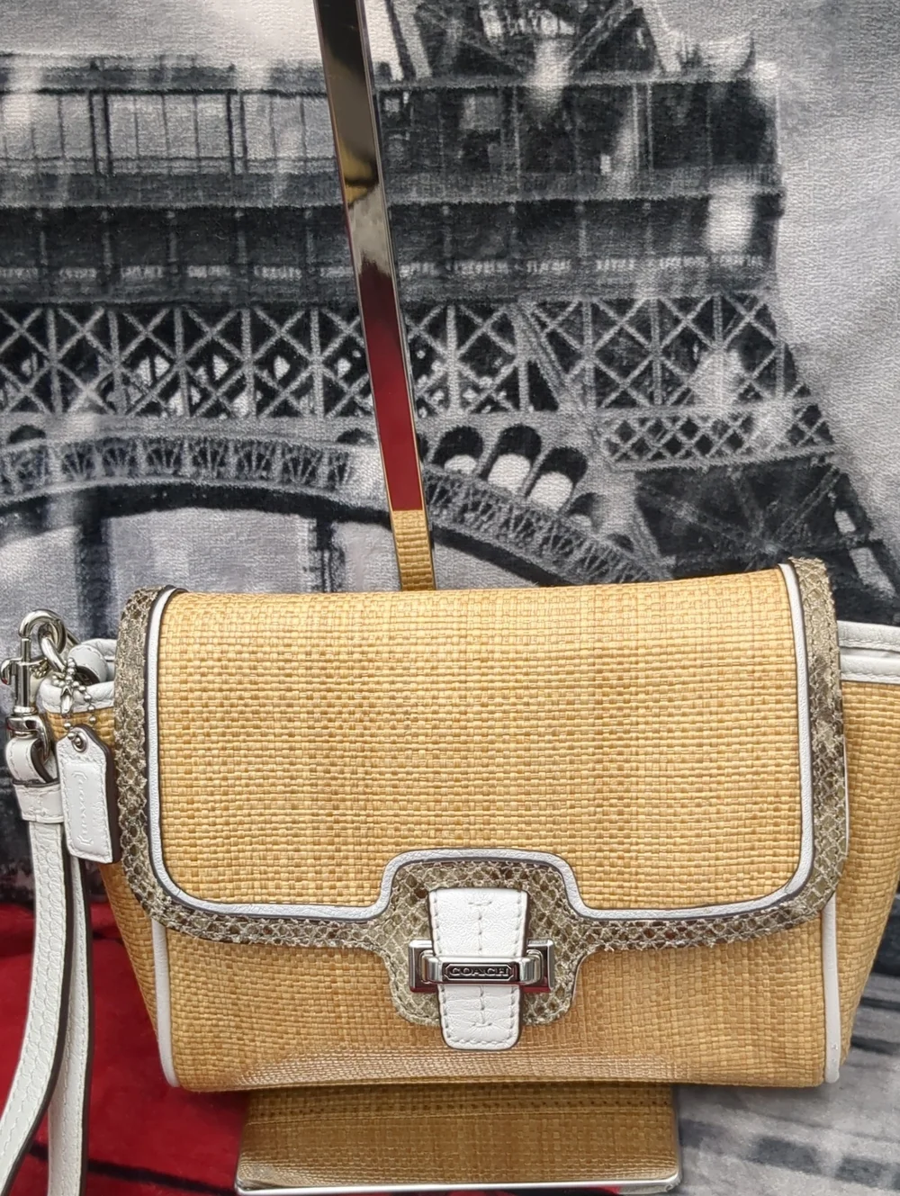 Coach Taylor City Natural Straw Python Leather Clutch Wristlet